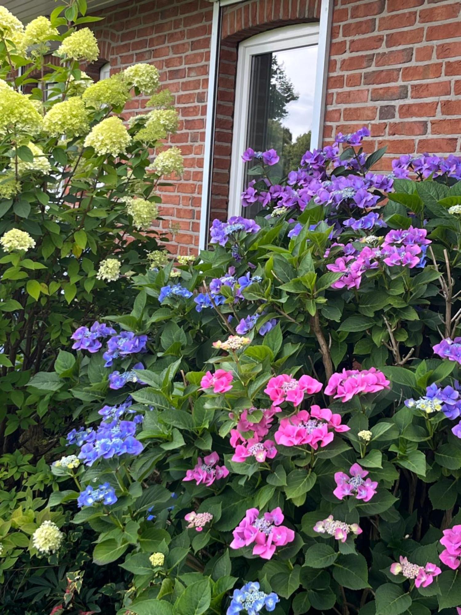 Gartenzimmer Zwischen Den Meeren Ladelund エクステリア 写真