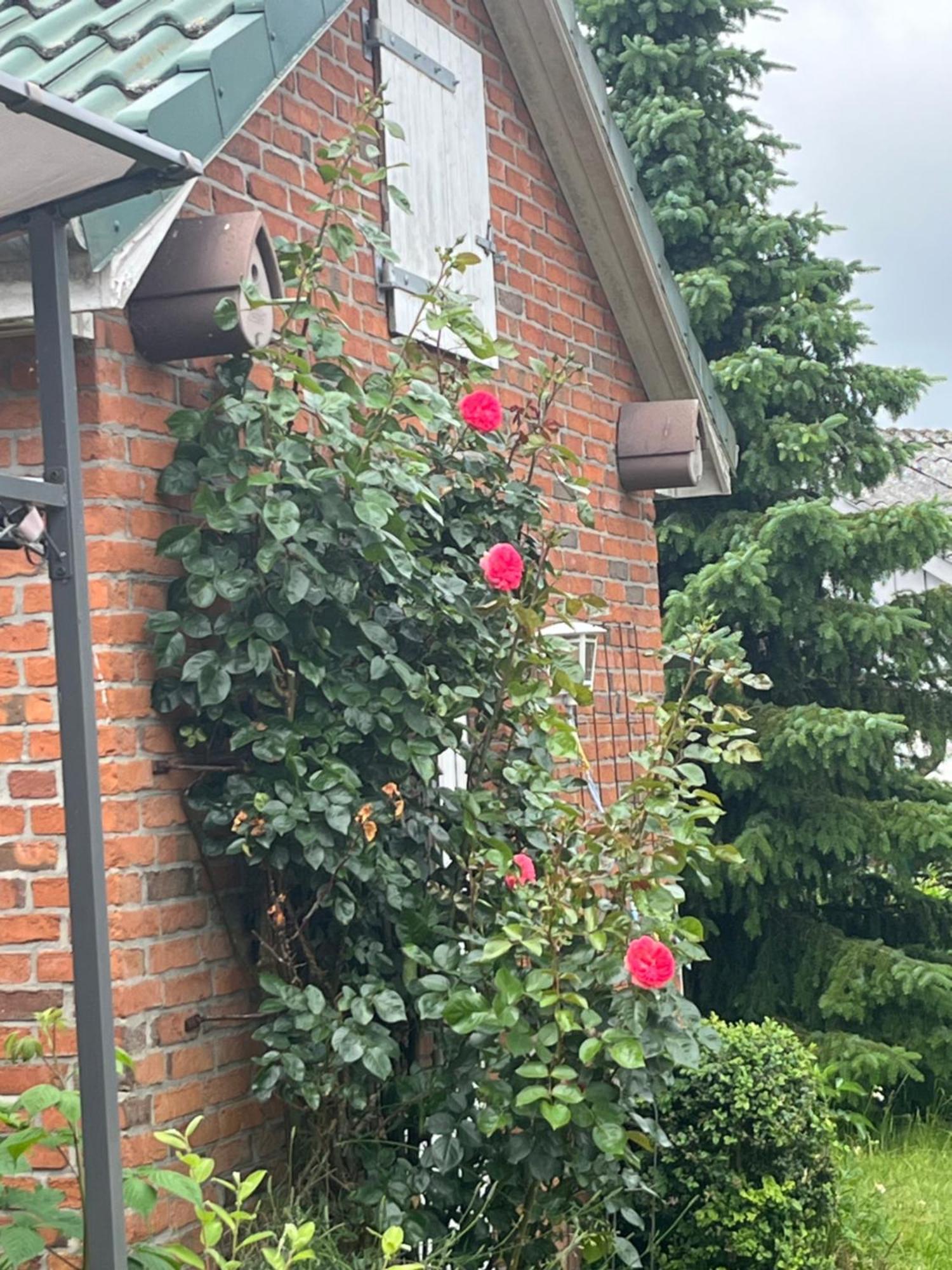 Gartenzimmer Zwischen Den Meeren Ladelund エクステリア 写真